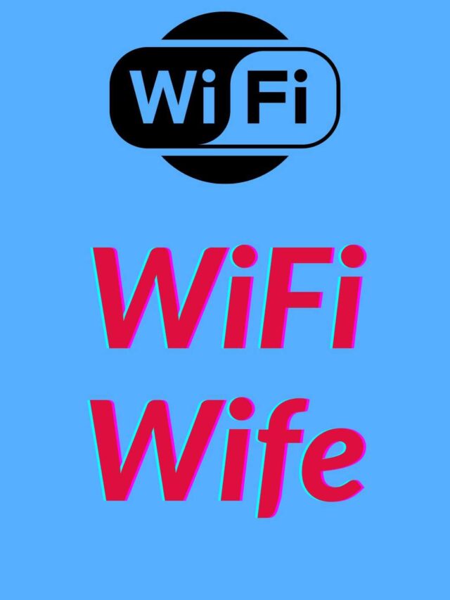 WiFi Wife