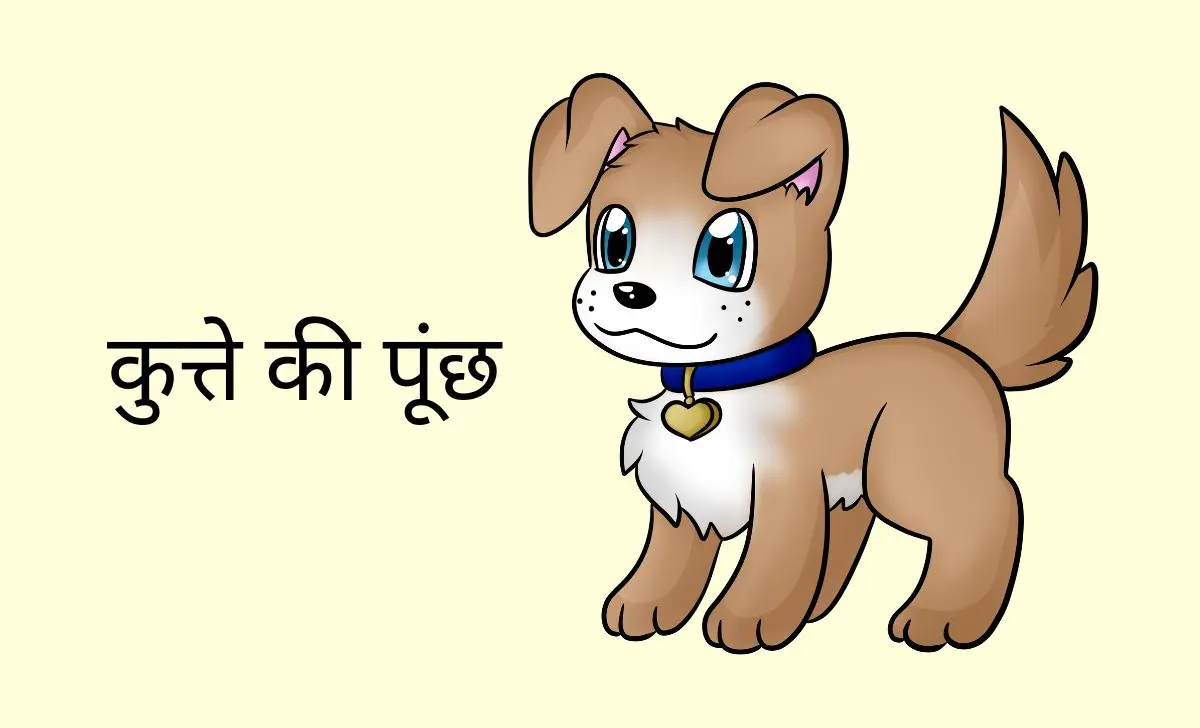 कुत्ते की पूंछ | Best Funny Story In Hindi / AAJ KA JOKE😂